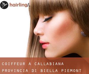 coiffeur à Callabiana (Provincia di Biella, Piémont) coiffeur à Callabiana (Provincia di Biella, Piémont)