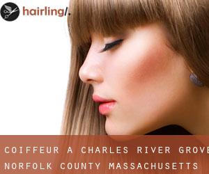 coiffeur à Charles River Grove (Norfolk County, Massachusetts)
