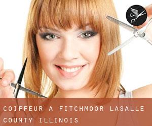 coiffeur à Fitchmoor (LaSalle County, Illinois)