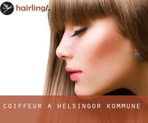 coiffeur à Helsingør Kommune