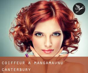 coiffeur à Mangamaunu (Canterbury)