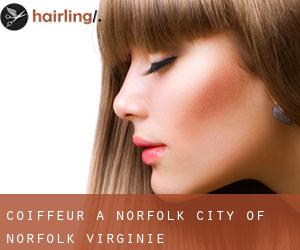 coiffeur à Norfolk (City of Norfolk, Virginie)