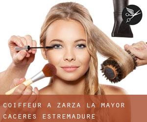 coiffeur à Zarza la Mayor (Caceres, Estrémadure)